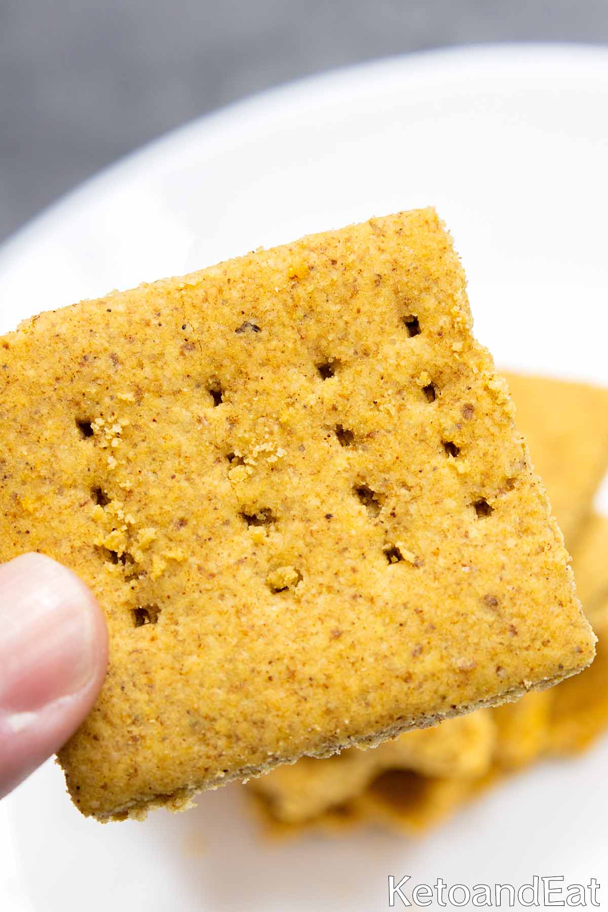 Low Carb Graham Crackers