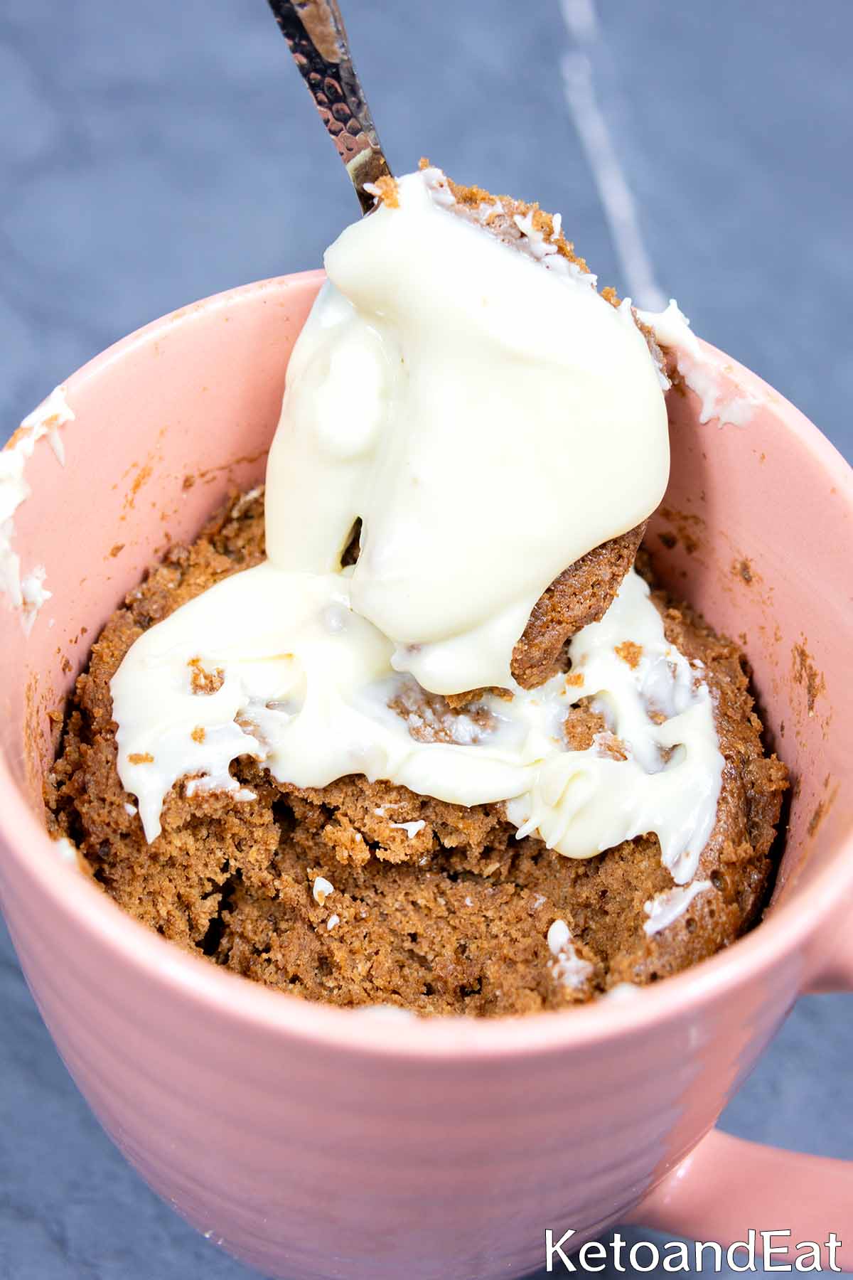 Low Carb High Protein Chocolate Mug Cake