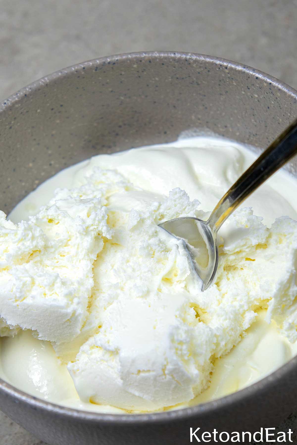 Low Carb Ice Cream