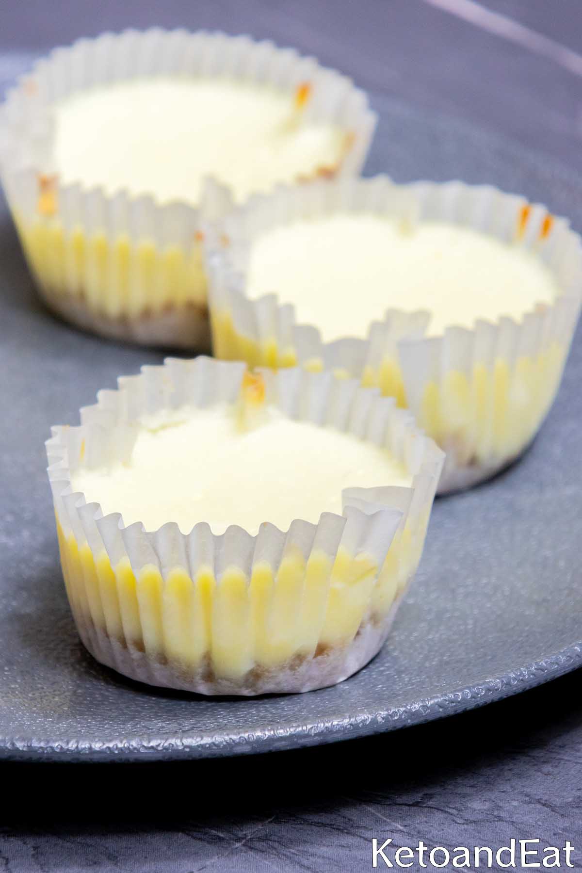 Low Carb Keto Mini Cheesecake Bites Recipe
