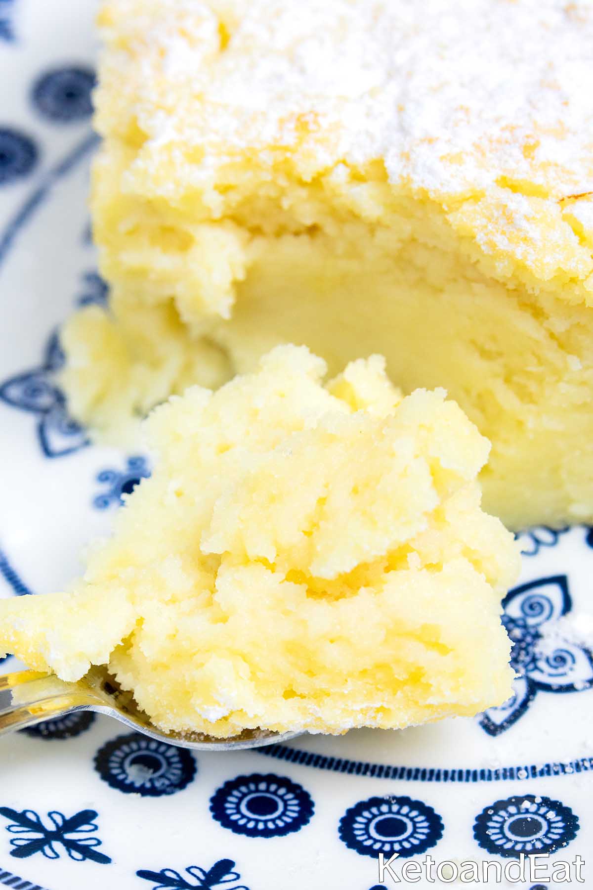 Low Carb Lemon Ricotta Cake