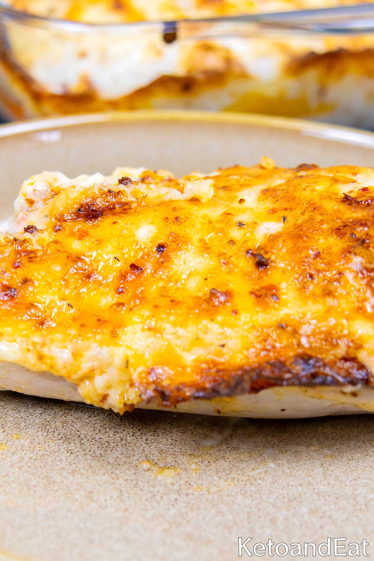 Low Carb Mayo Parmesan Chicken Recipe