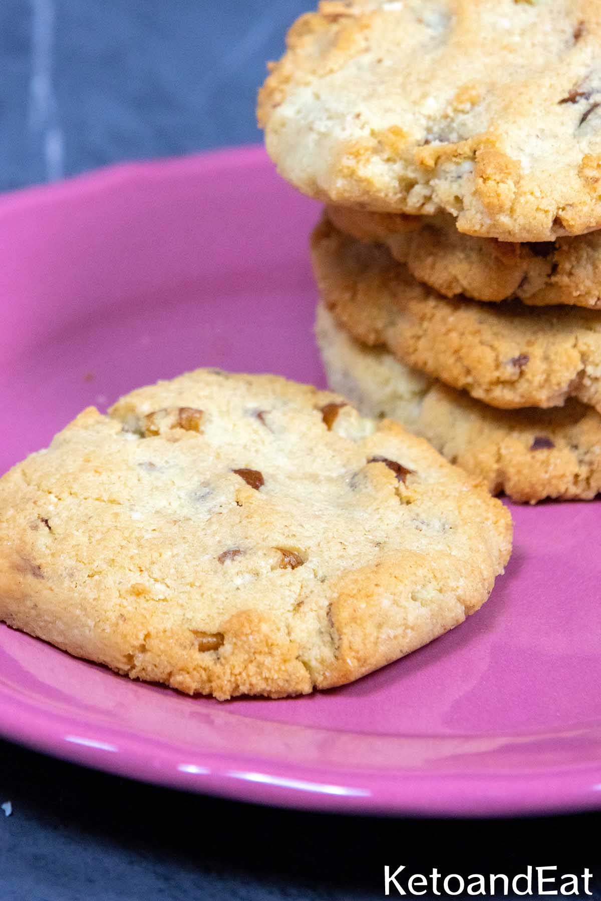 Low Carb Pecan Cookies