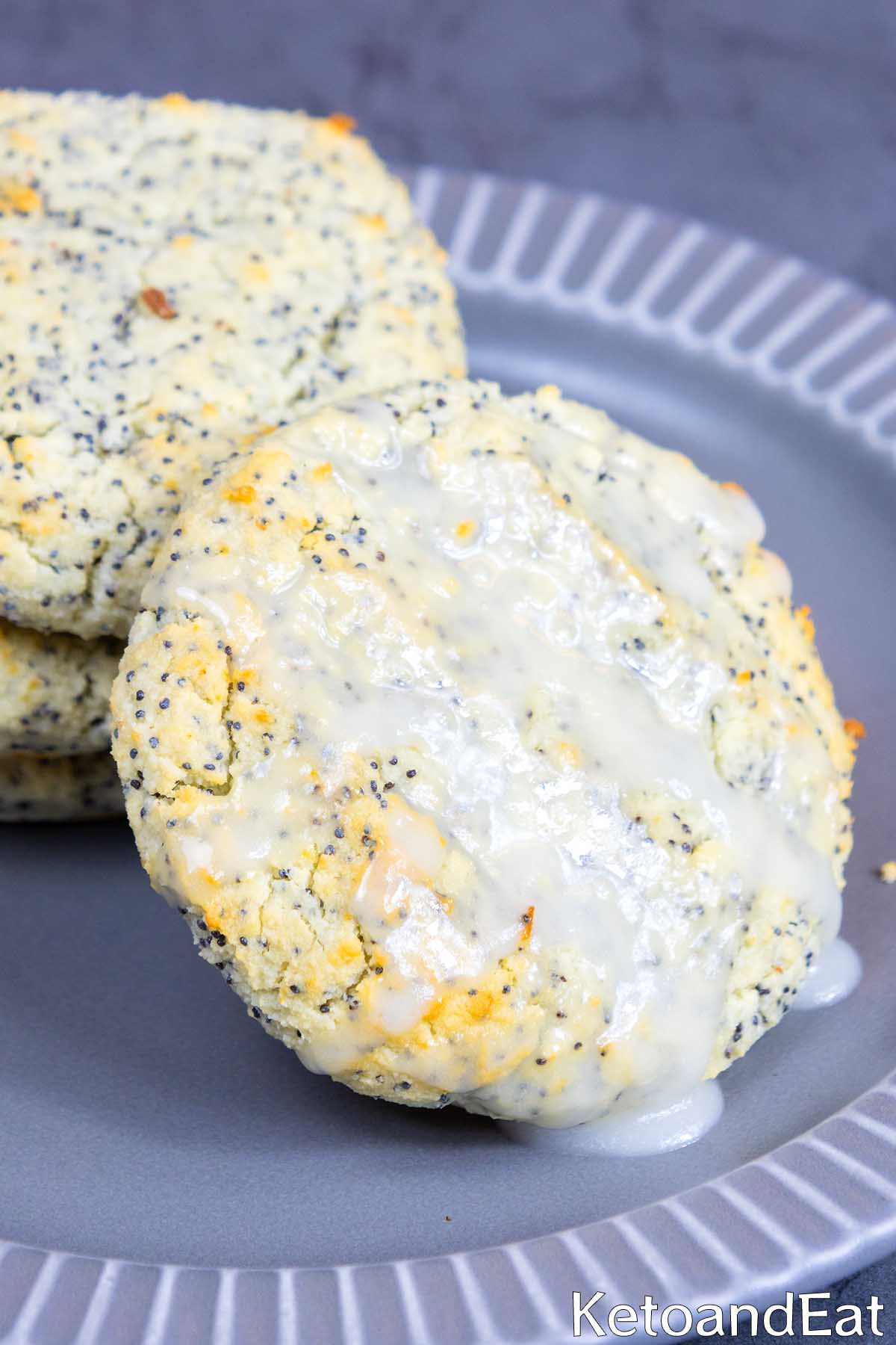 Low Carb Poppy Seed Lemon Cookies