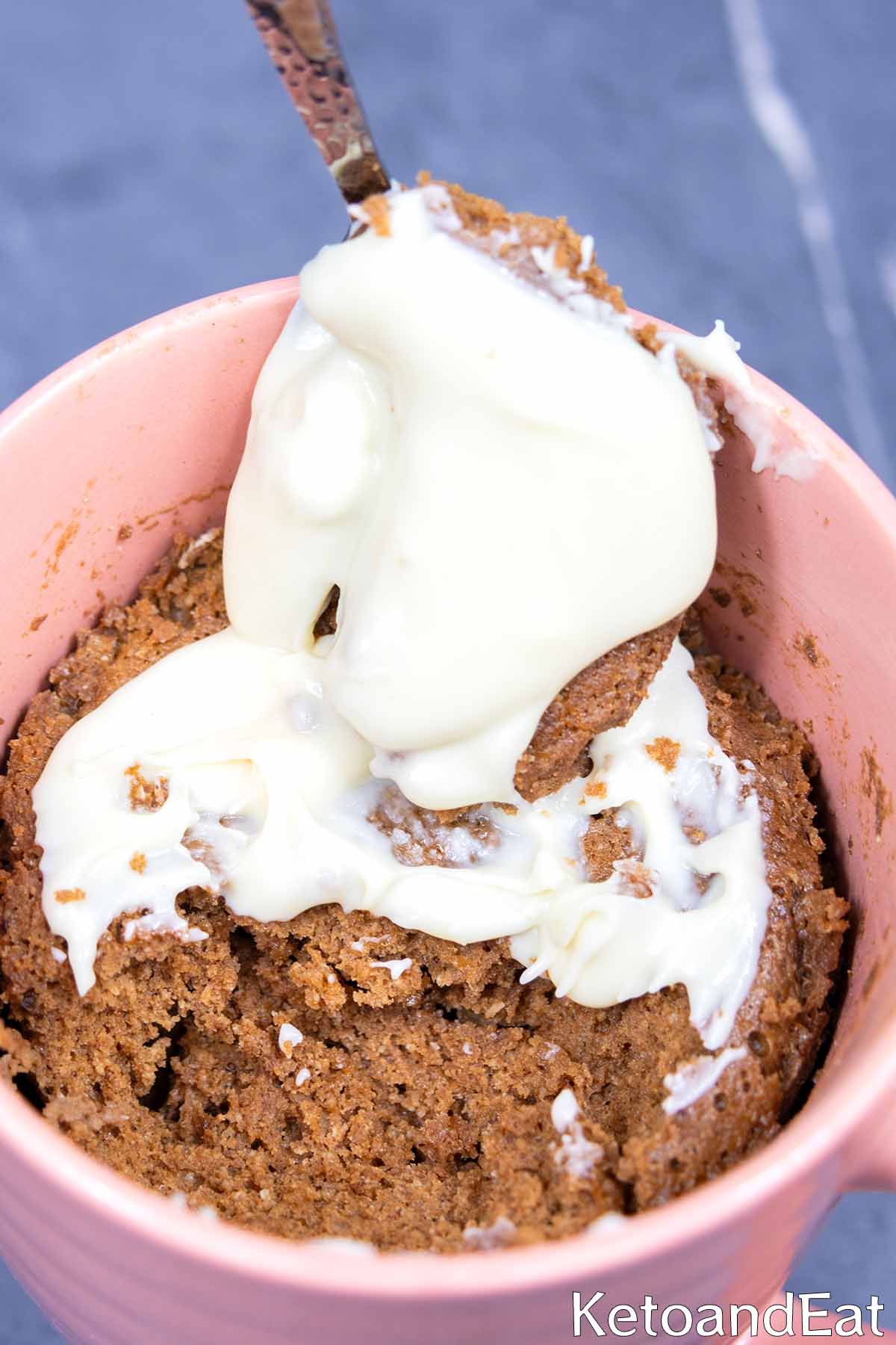 Low Carb Protein Chocolate Mug Cake