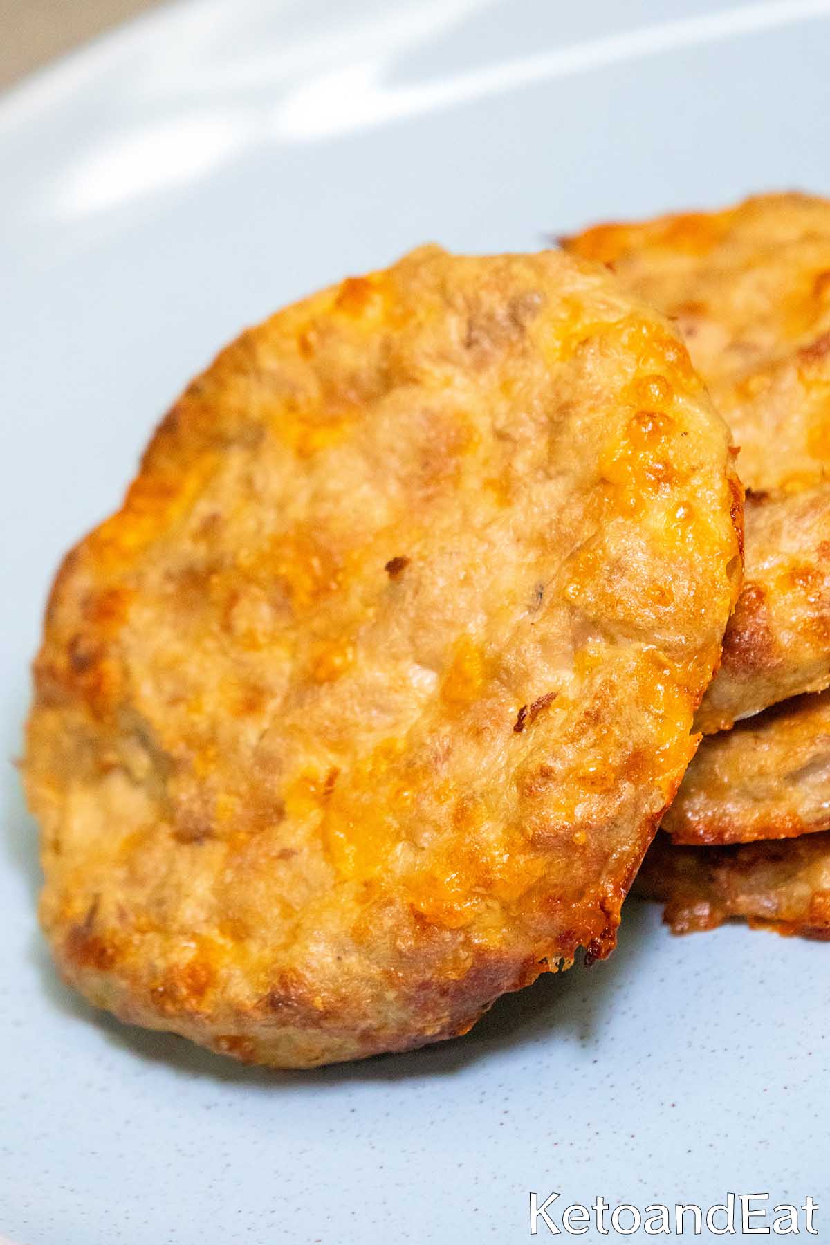 Low Carb Tuna Melt Patties