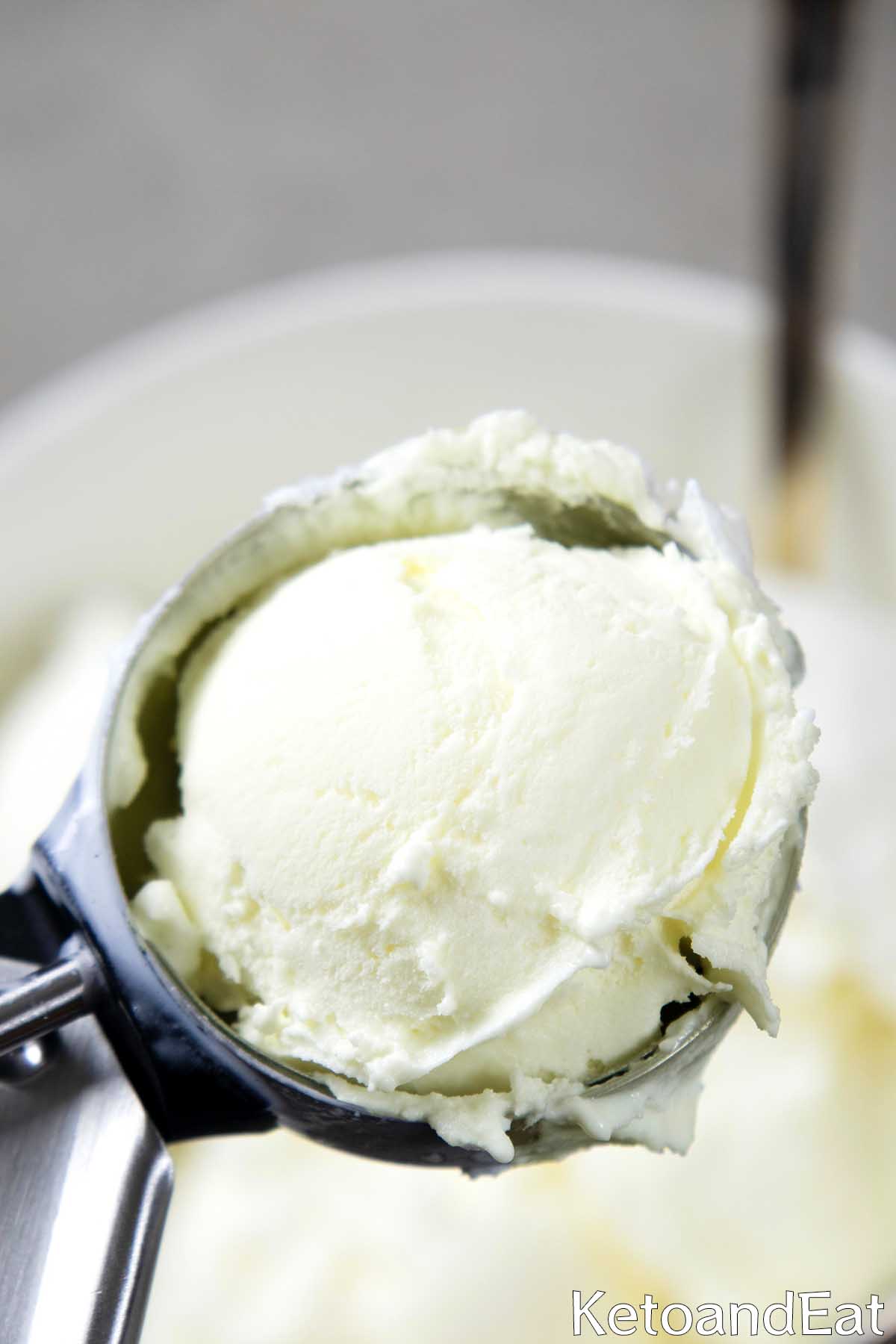Quick Carnivore Ice Cream 