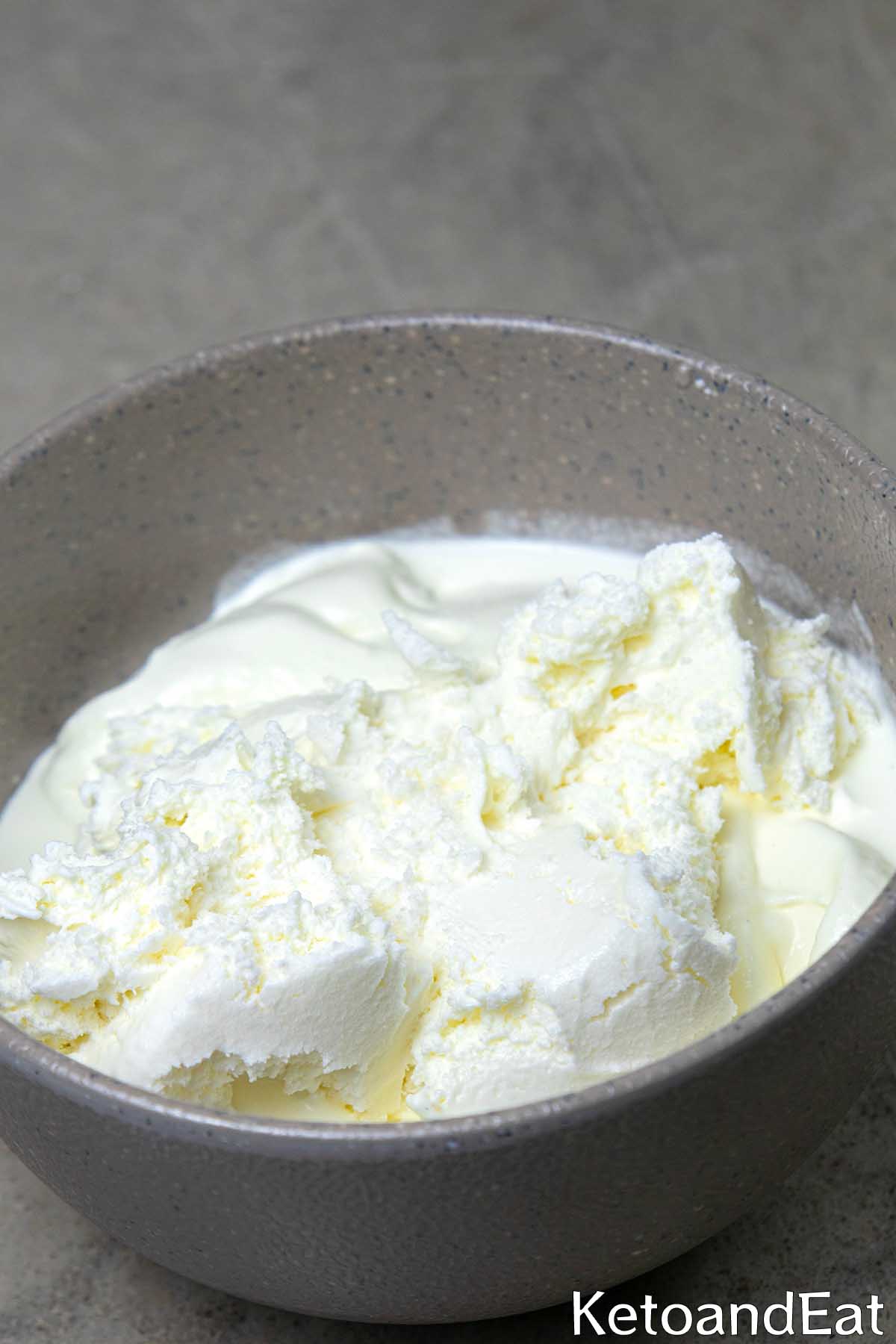 Recipe For Carnivore Ice Cream