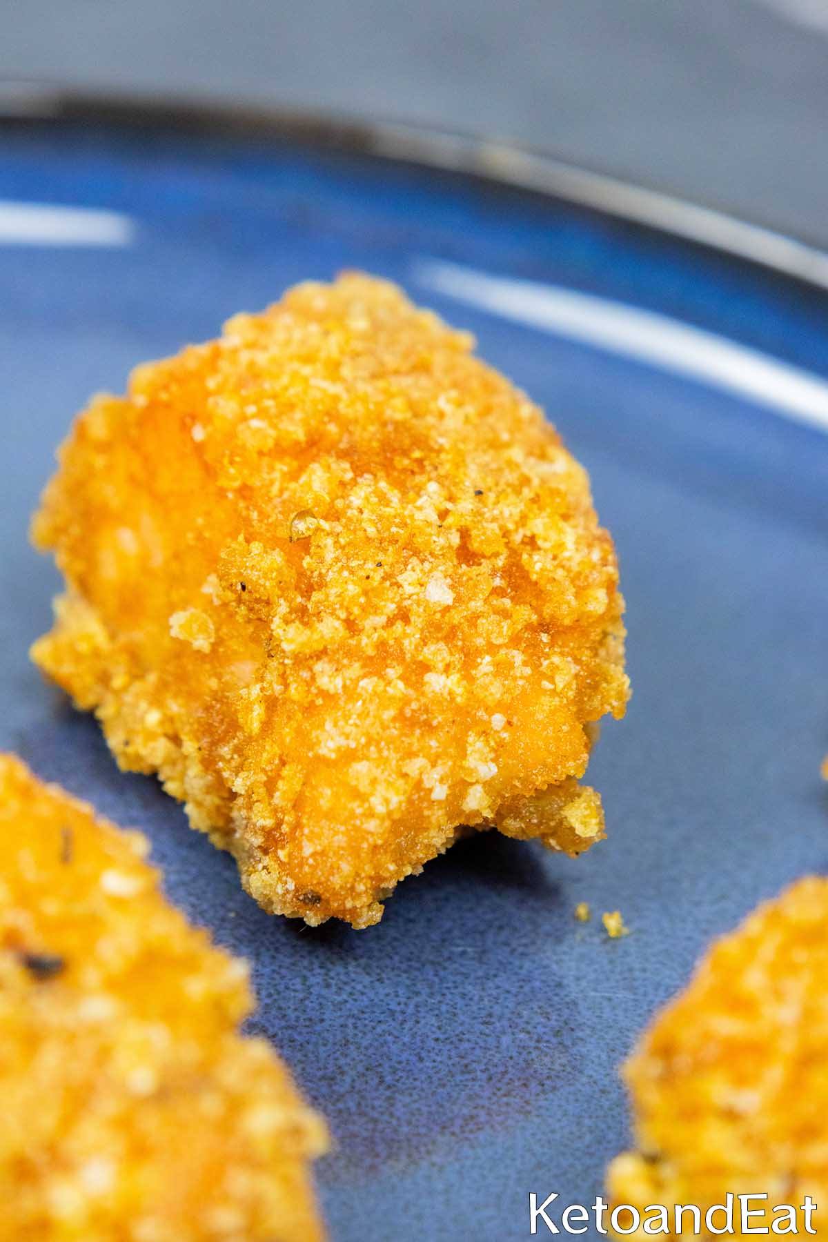 Salmon Bites