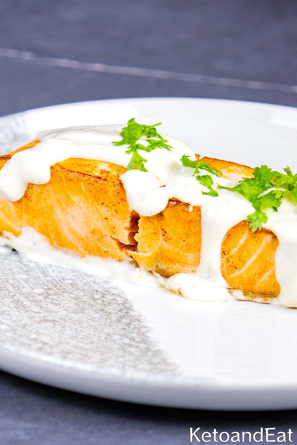 Salmon & Cream Cheese Sauce 2