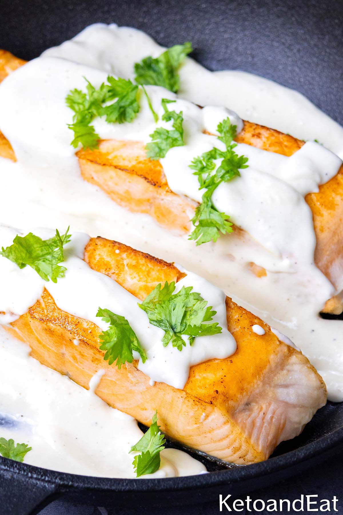 Salmon & Cream Cheese Sauce