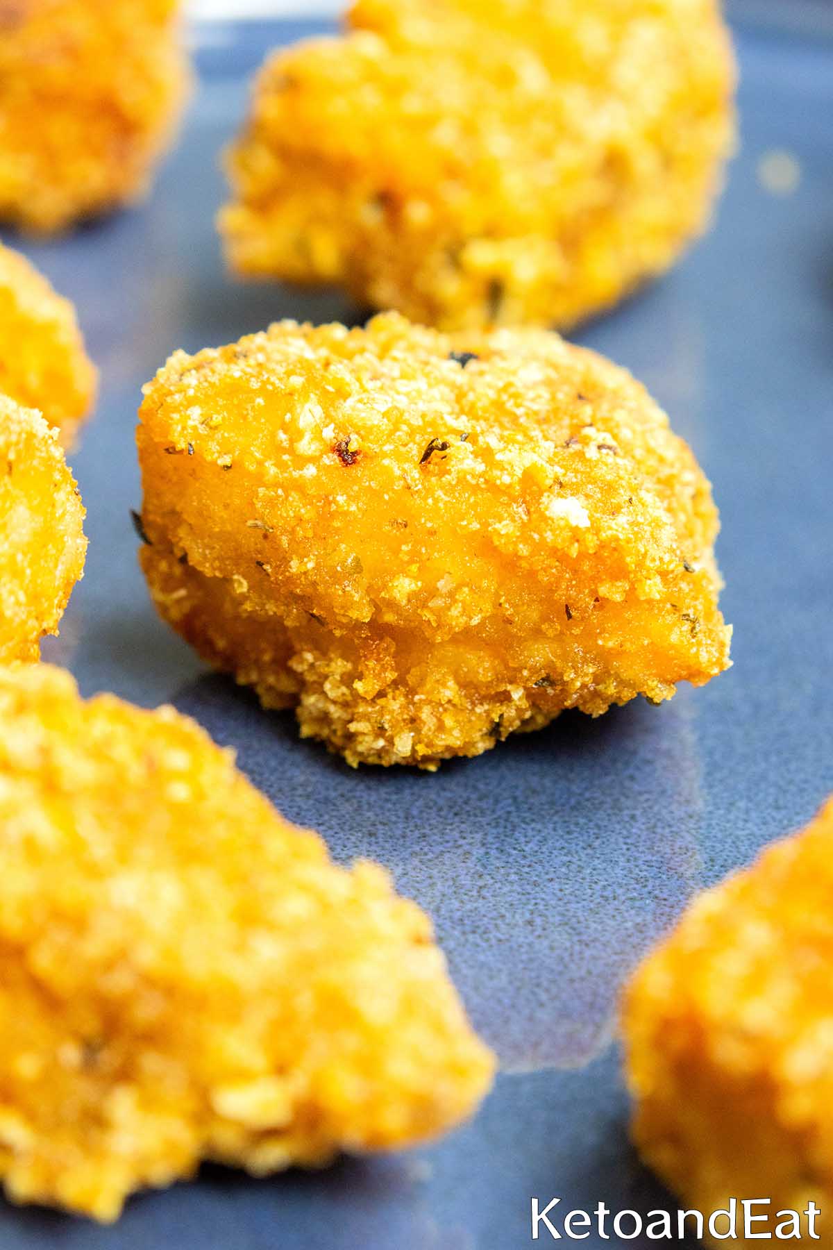 Salmon Nuggets