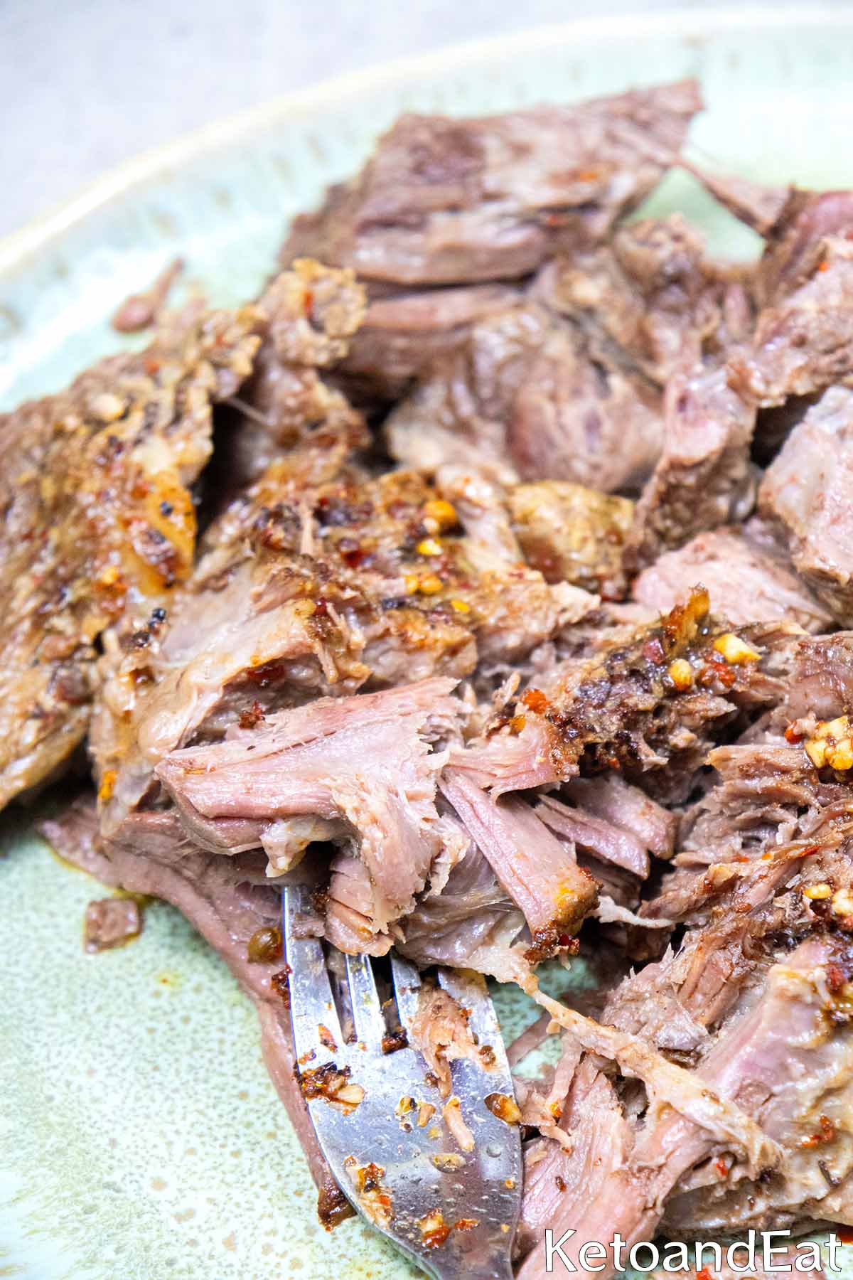 Shredded Beef 2