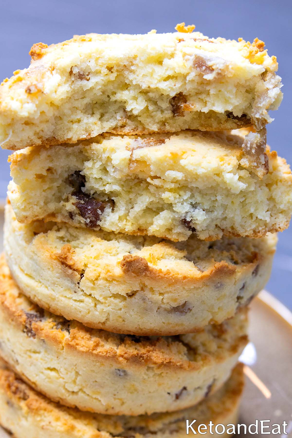 Sour Cream & Cheddar Bacon Biscuits