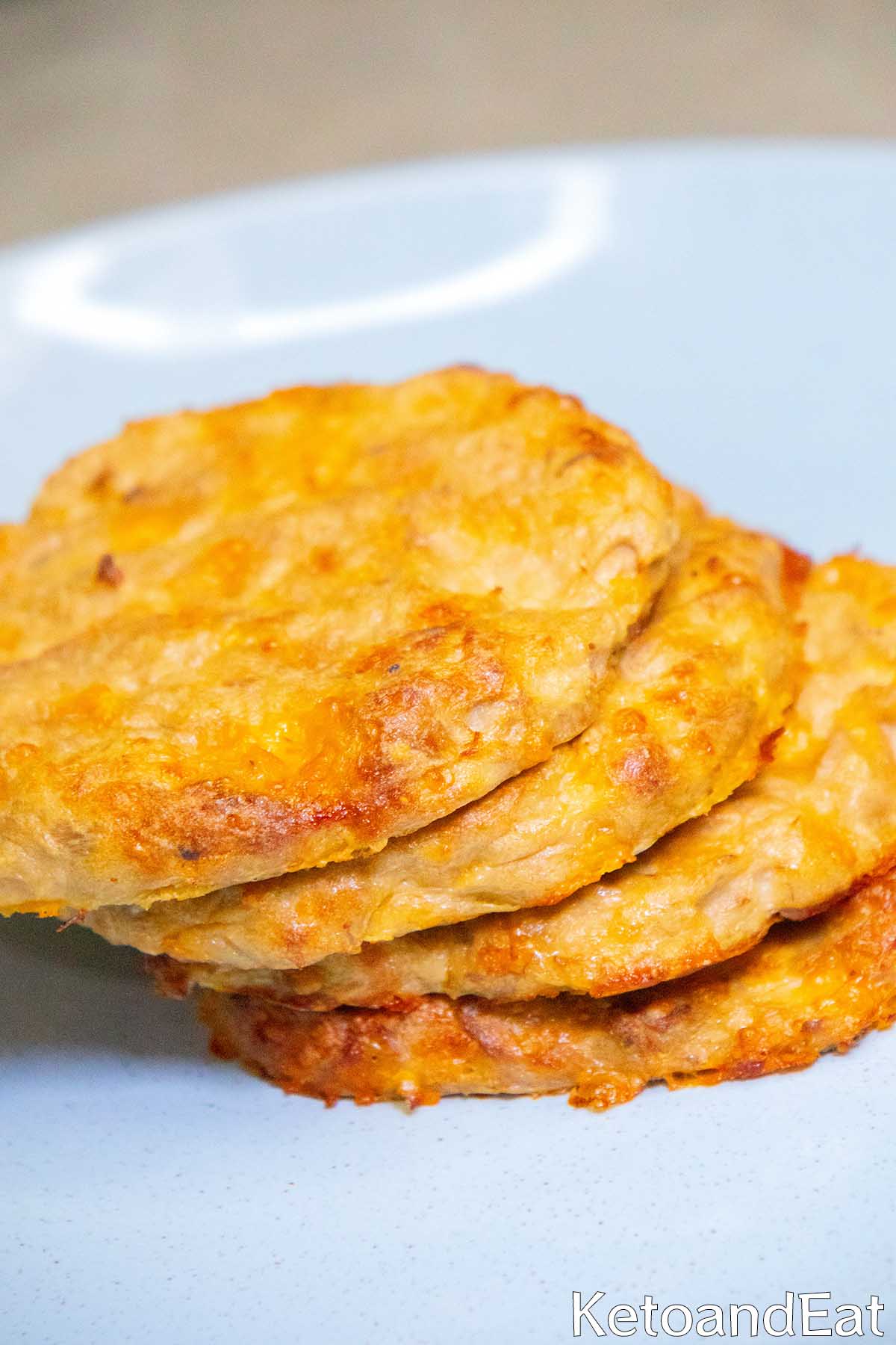 Tuna Melt Patties