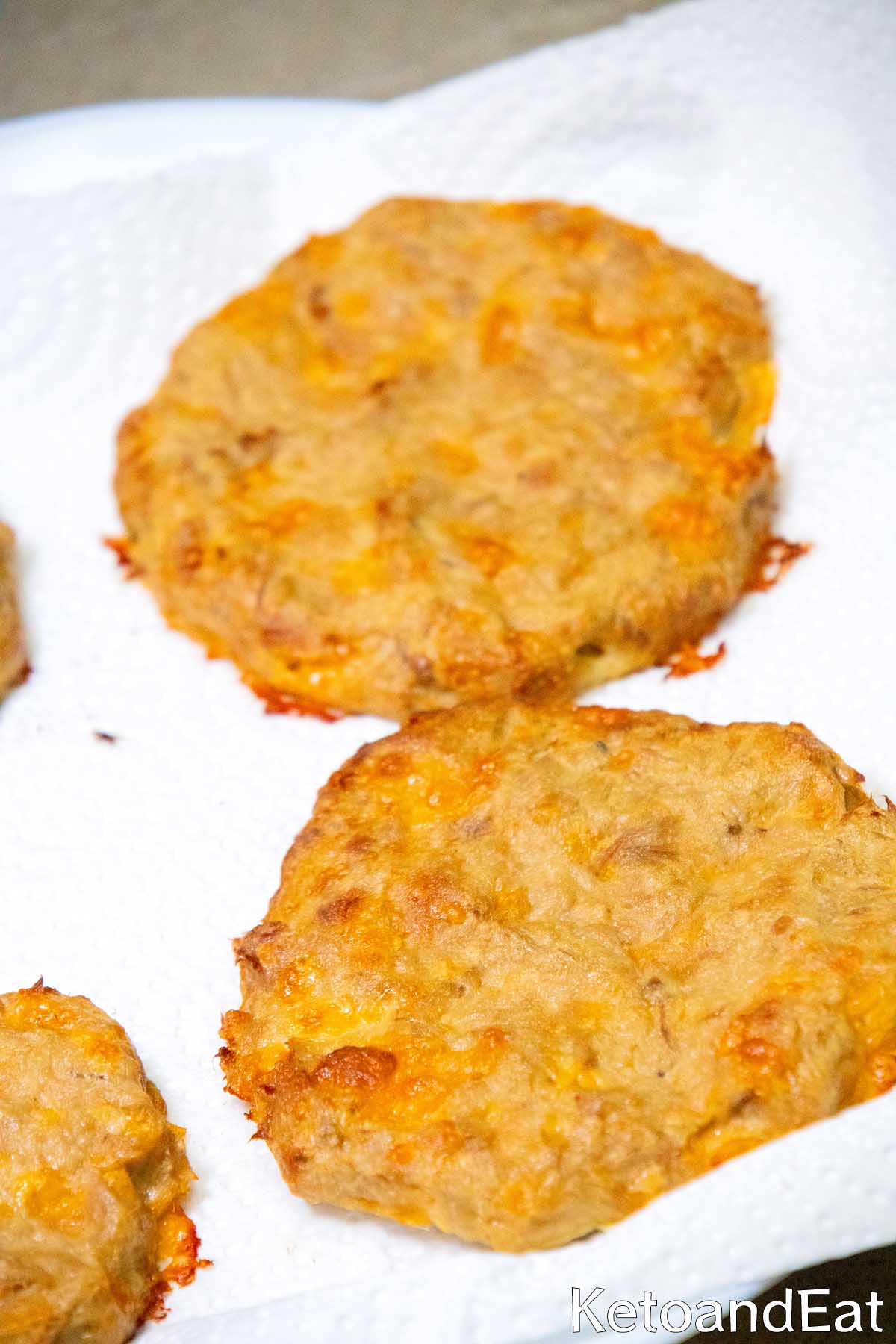 Tuna Melt Patties