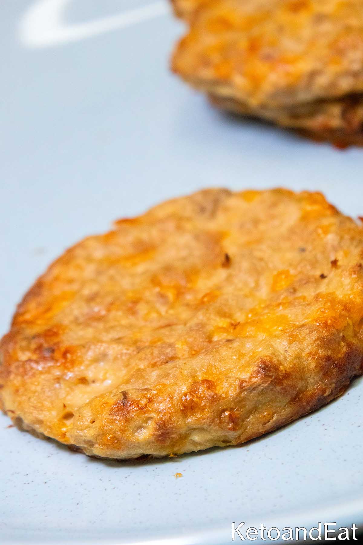 Yummy Low Carb Tuna Melt Patties
