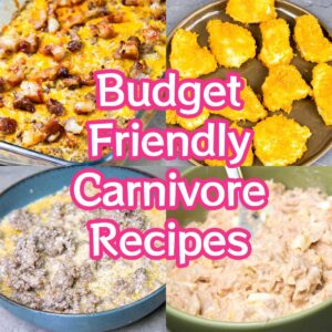 budget carnivore recipes