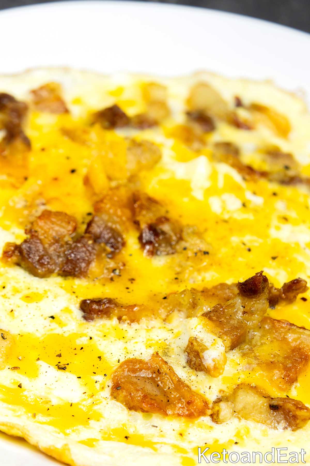 carnivore Omelette