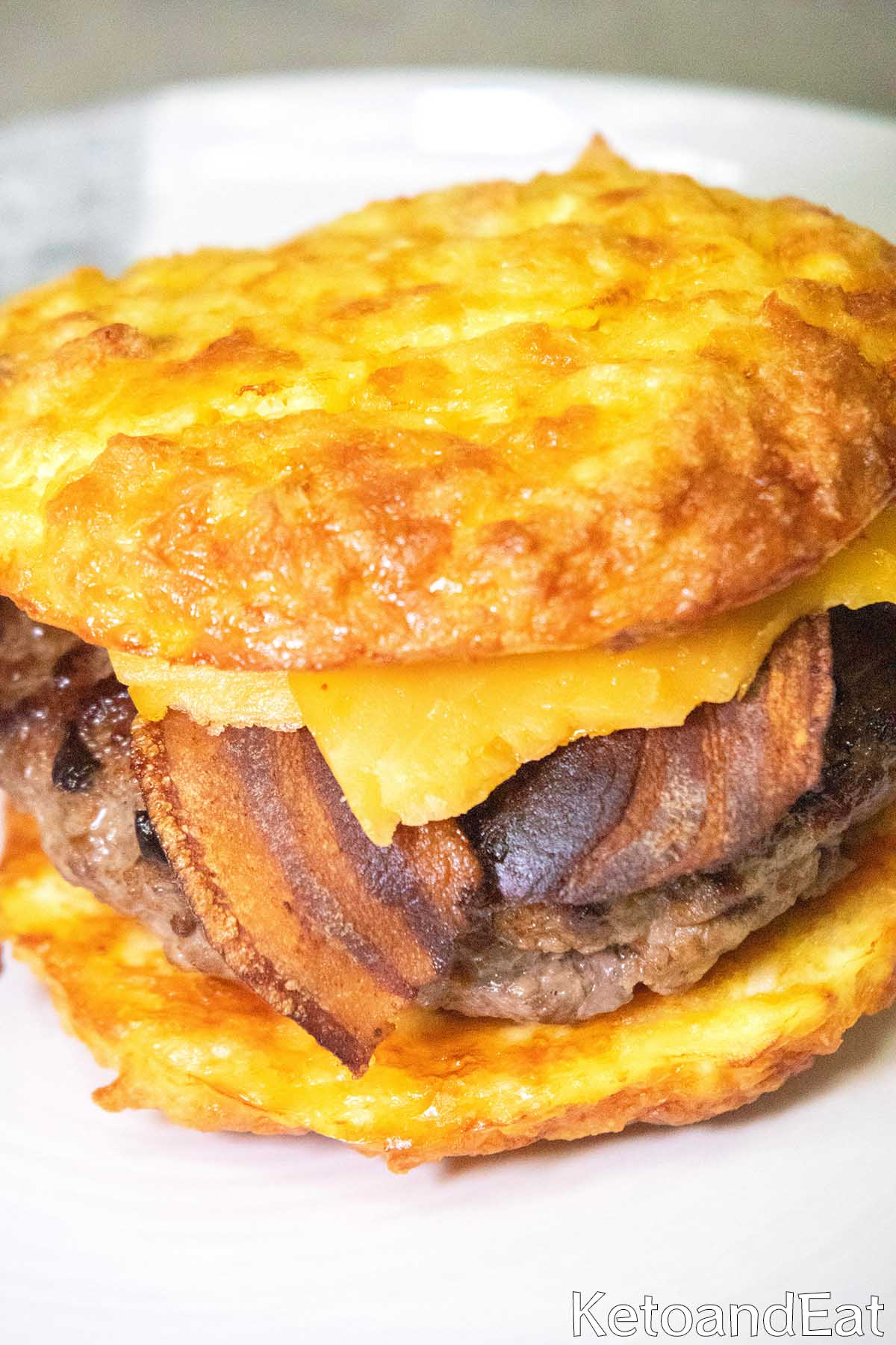 carnivore burger