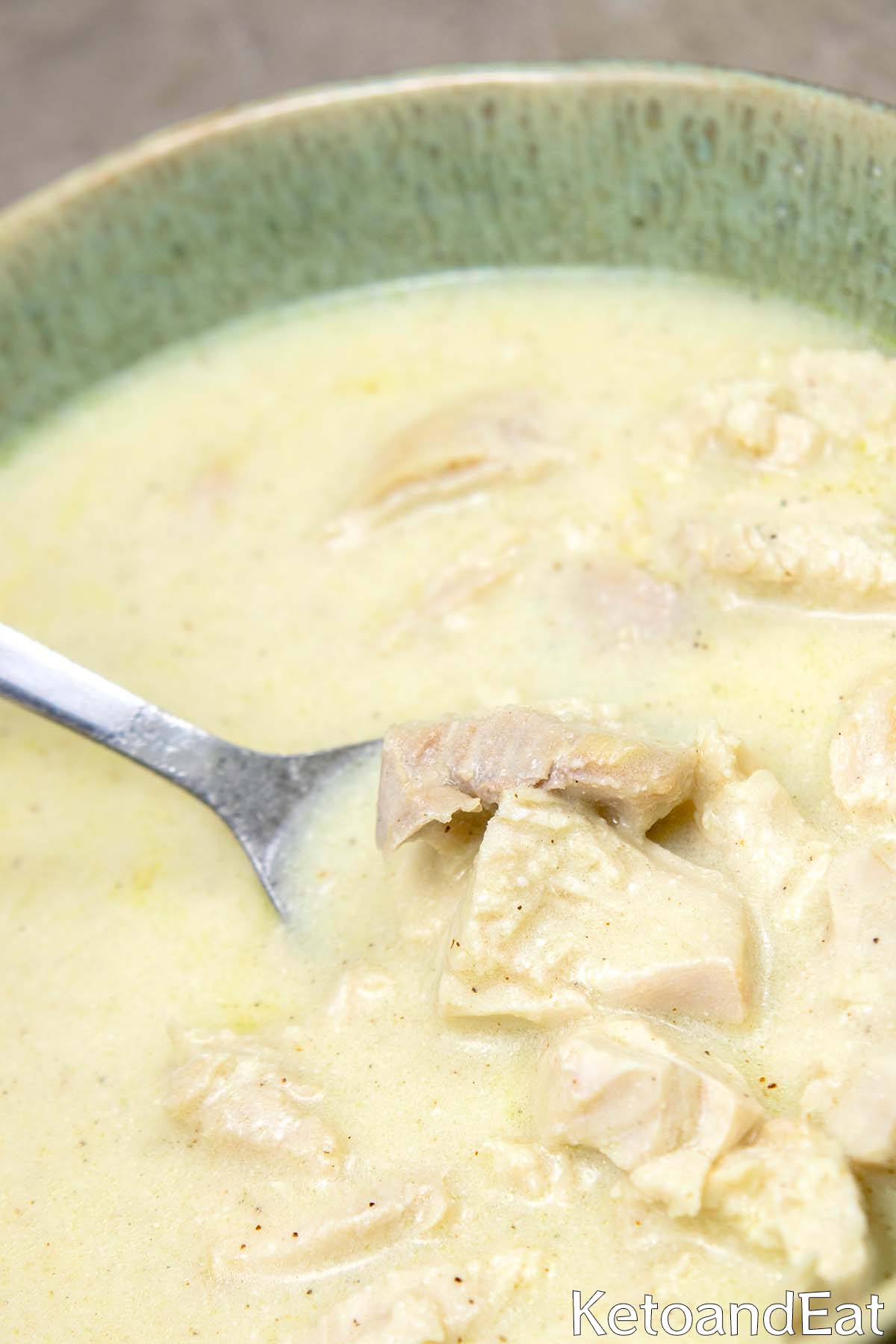 carnivore chicken soup