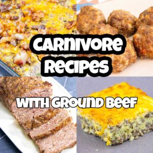 carnivore ground beef r