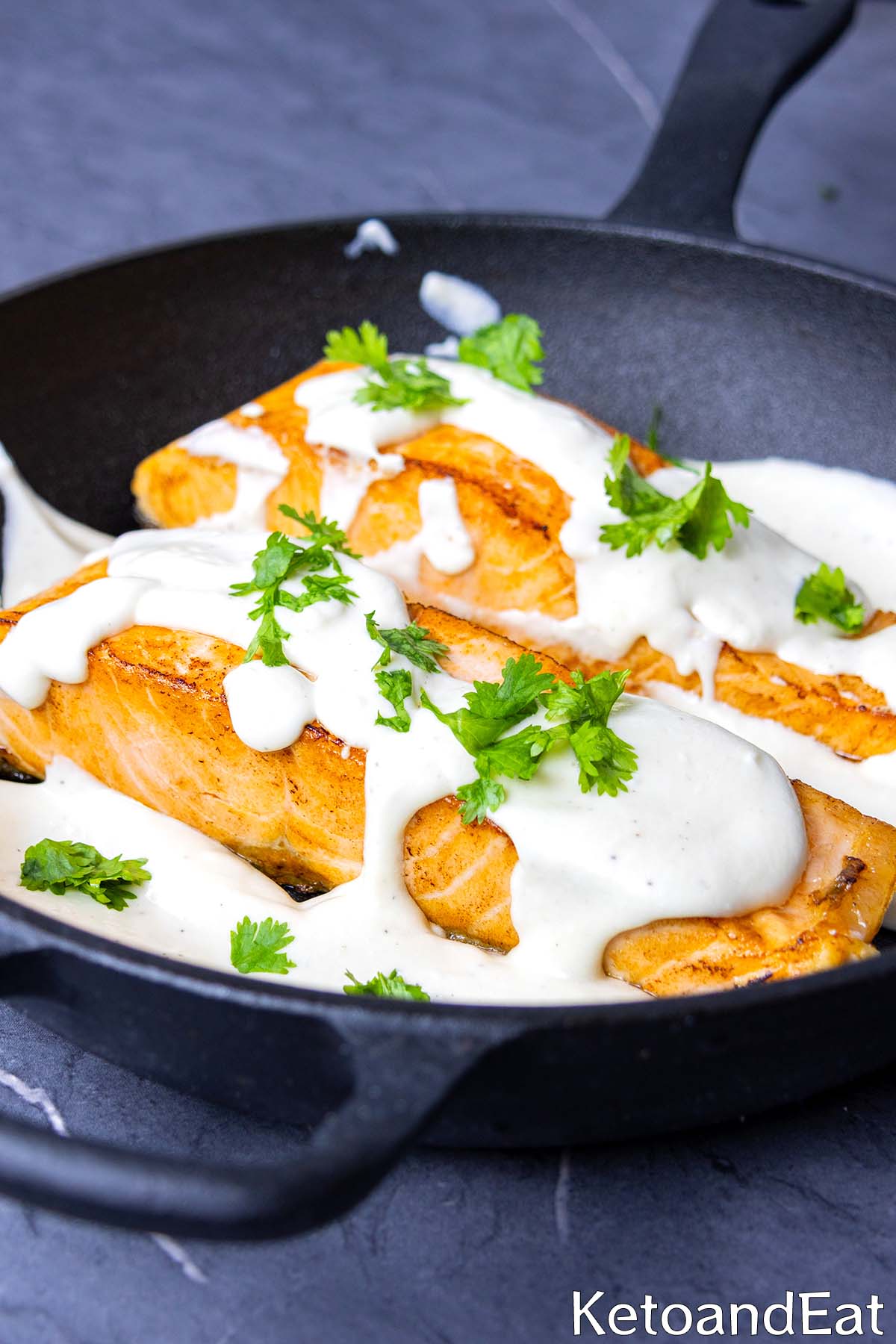 carnivore salmon