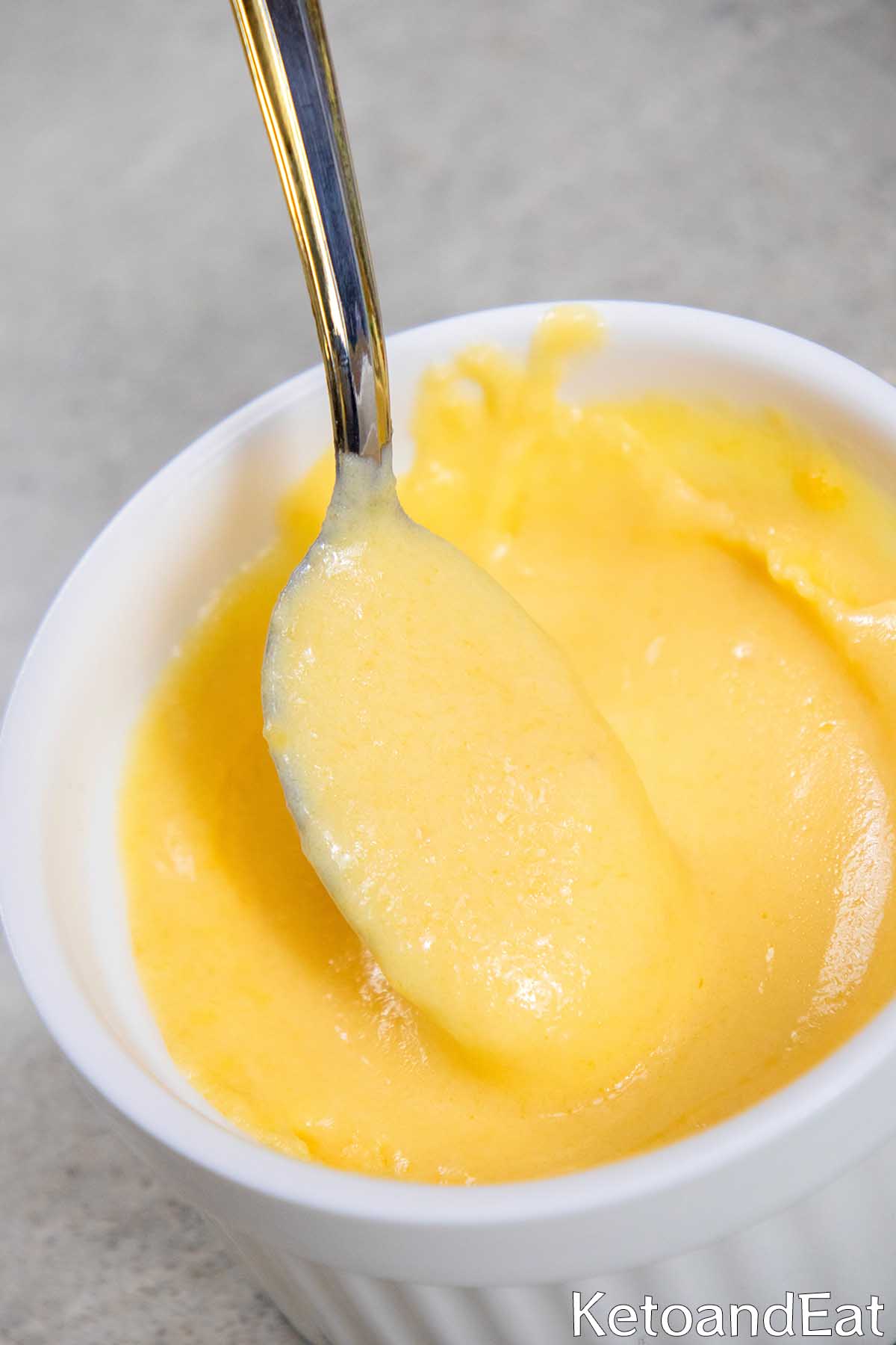 carnivore sauce cheddar