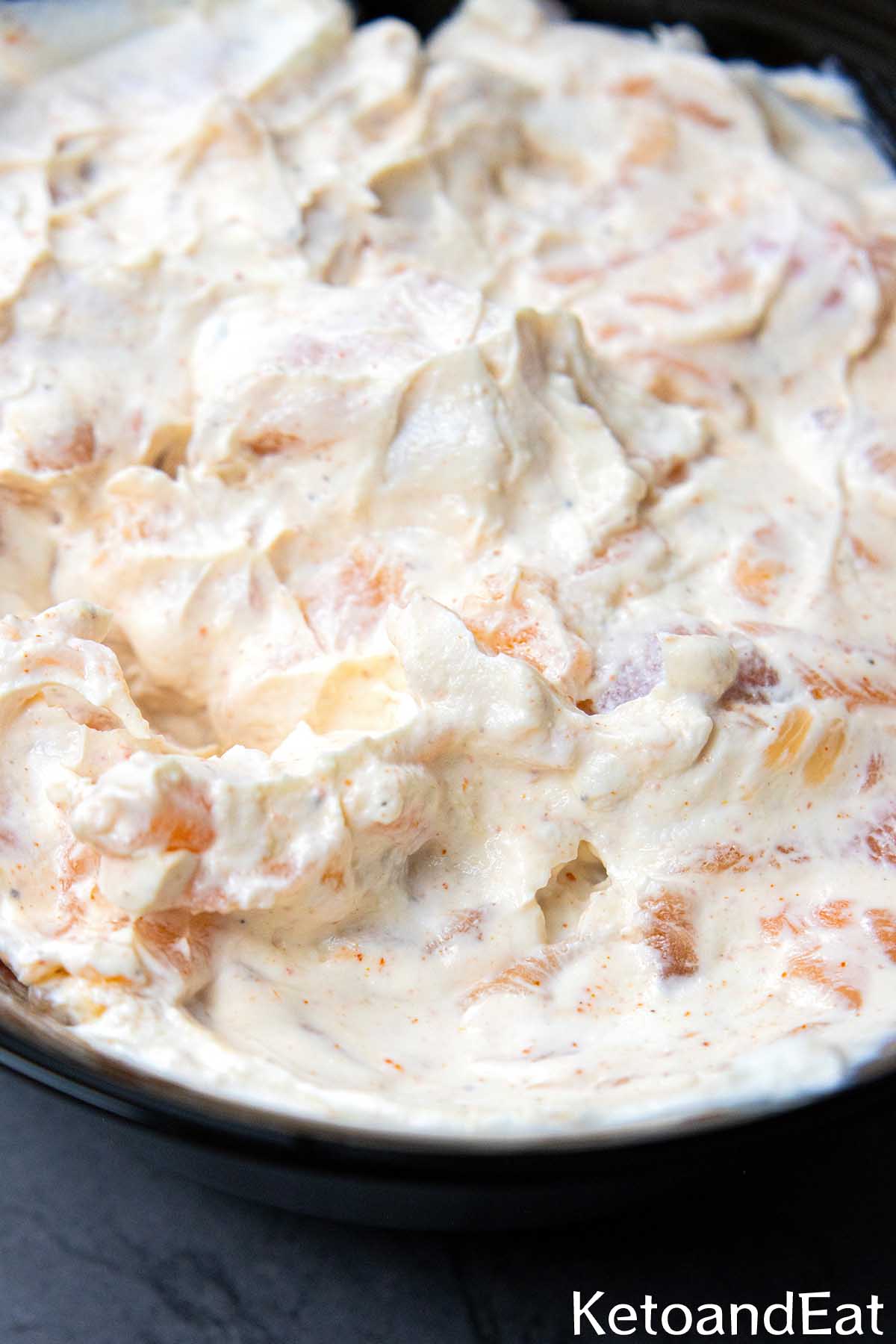 Carnivore Smoked Salmon Dip