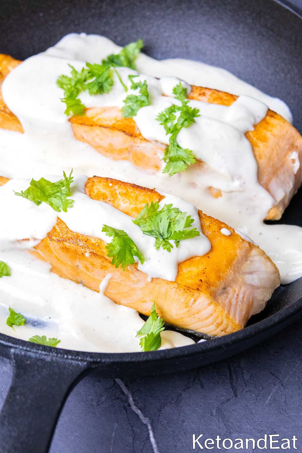 salmon with sauce